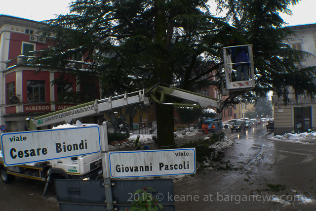 Emergency tree work in Barga after heavy snow fall