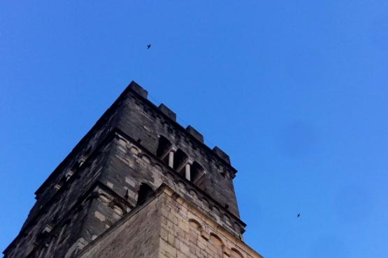 The first swallows of spring arrive in Barga