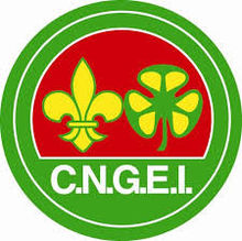 Gruppo Scout Mediavalle: una giornata all’insegna dell’ecologia nell’Earth Day