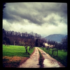 nubi alessio barsotti