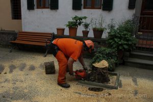 images from daily life in barga