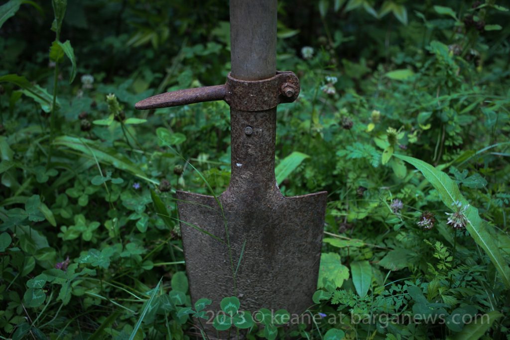 Daily Image – 26th July 2013