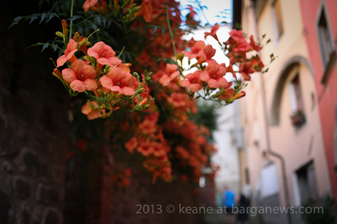 Daily Image – 29th July 2013