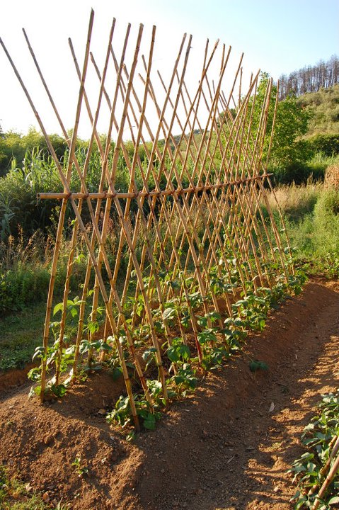 3 parole sospese tra orto e giardino