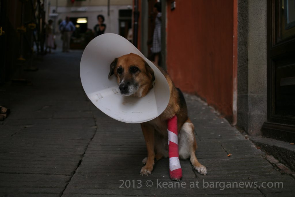 Daily Image – 23rd August 2013