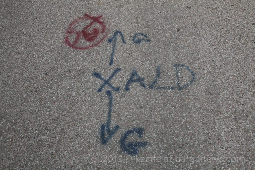 Daily Image – 8th August 2013