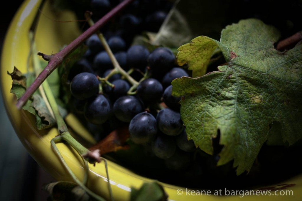 images from barga -3107