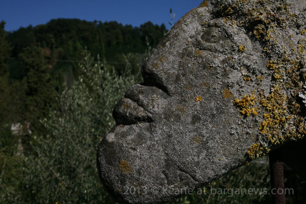 Daily Image – 5th September 2013