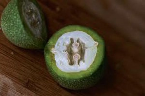 walnuts