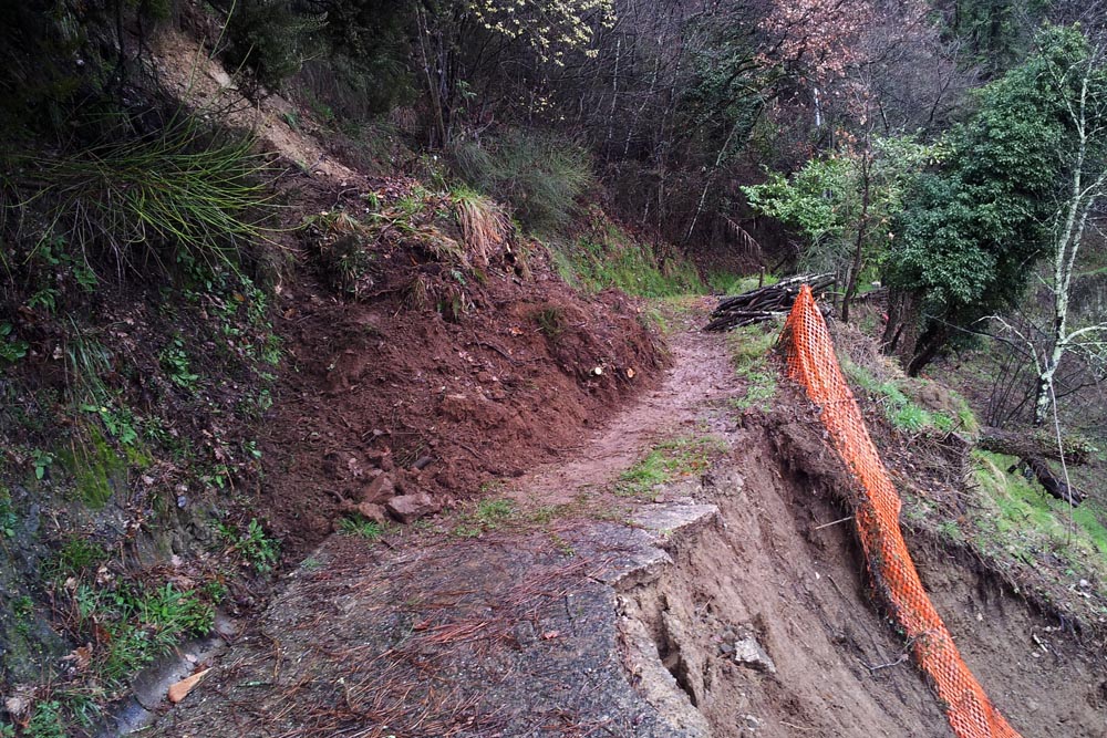 Resident expert, David Collins gives advice on access roads