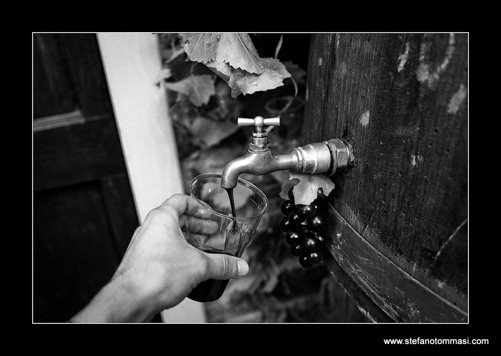 Motomerenda at Palleroso