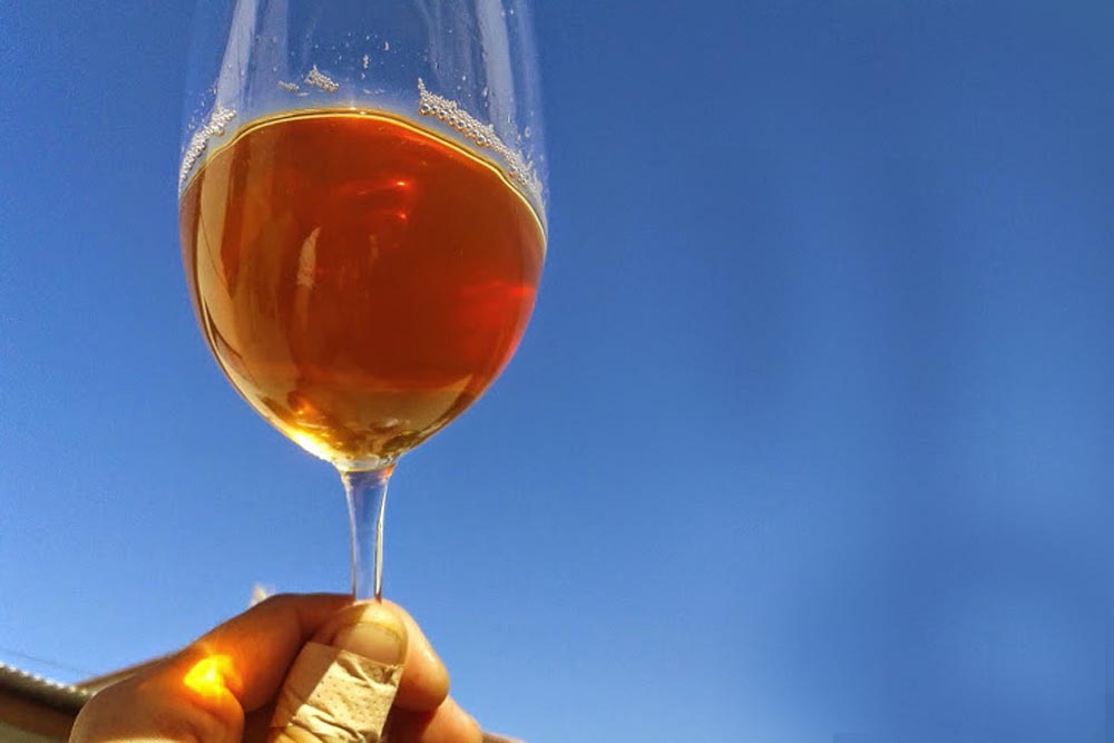 Natural wine tasting in Barga