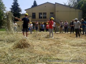 L'Orto della scuola di Pergola (PU)