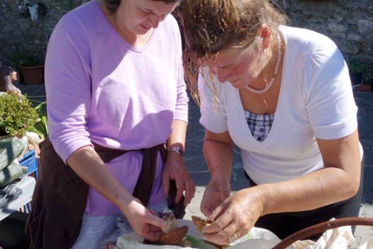 Foraging around Sensone