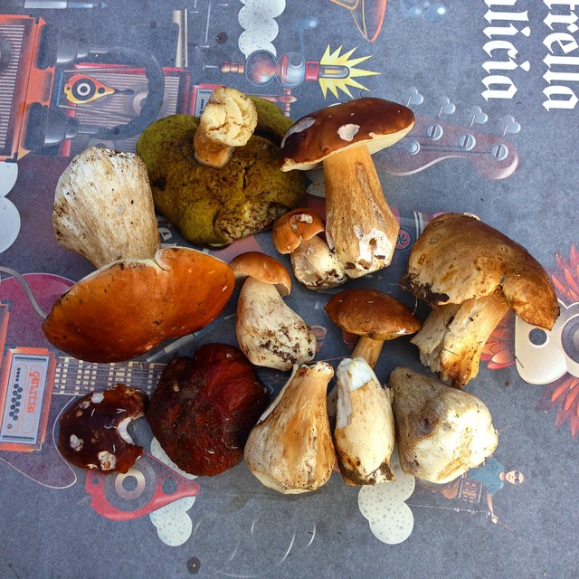 Asturianos a Requejo