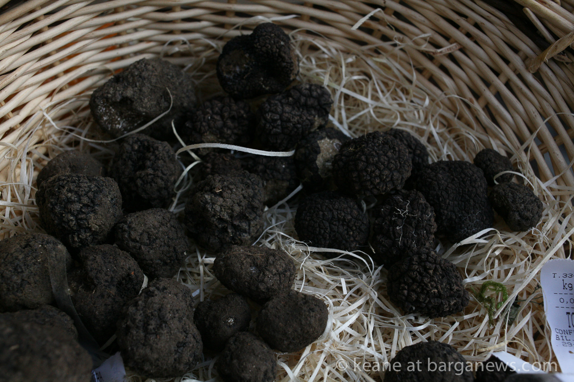 October Fair in Castiglione – truffles and the Aristodemo’s