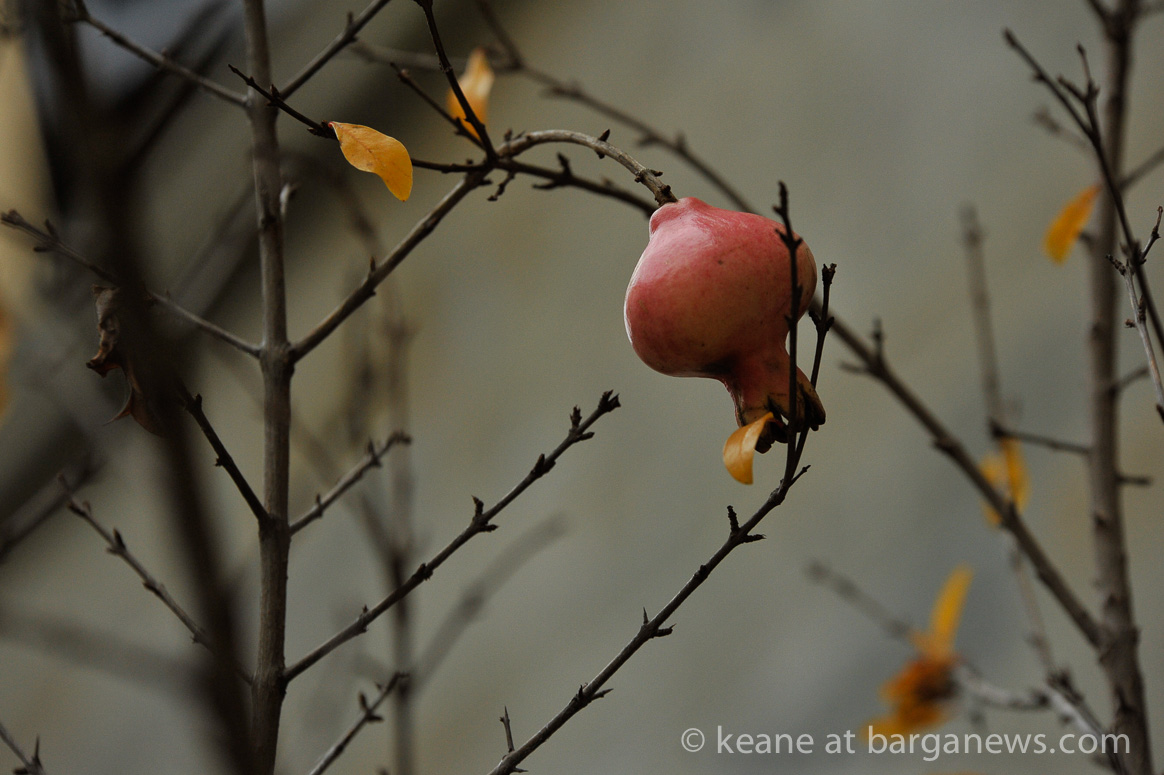 13th November 2014