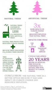 Quale albero per Natale?