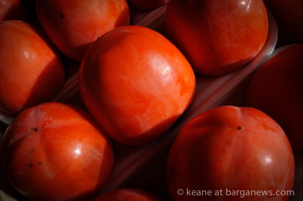 It’s the Cachi time of year again