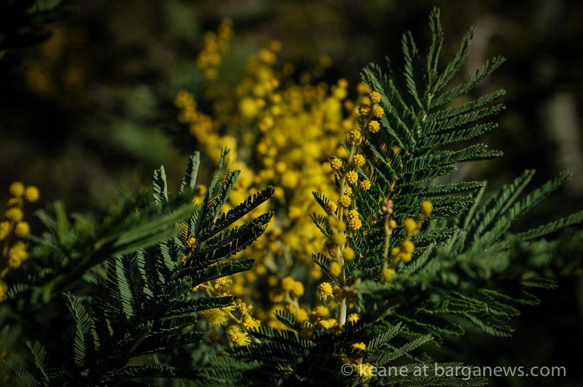 International Women’s Day