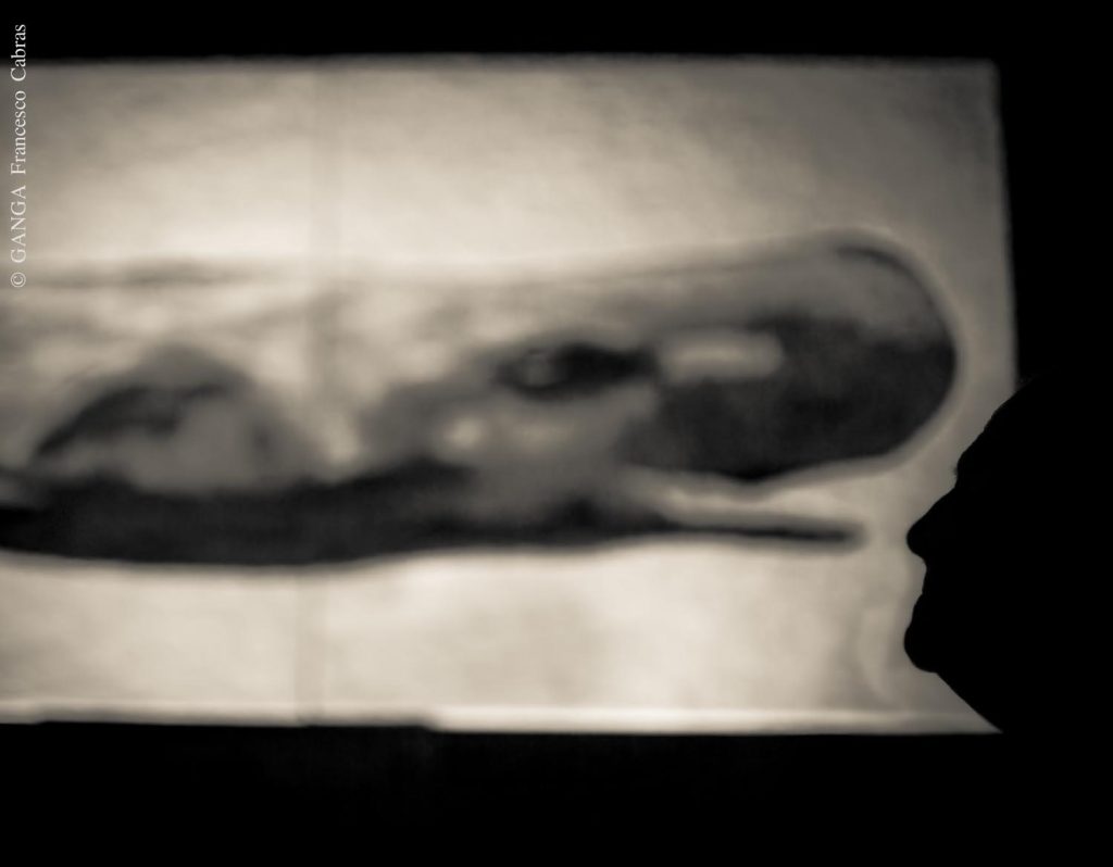 Greenpeace – Casa dei Pesci – the project is ready