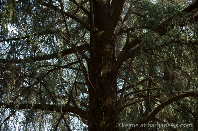 images from barga (LU) Italy