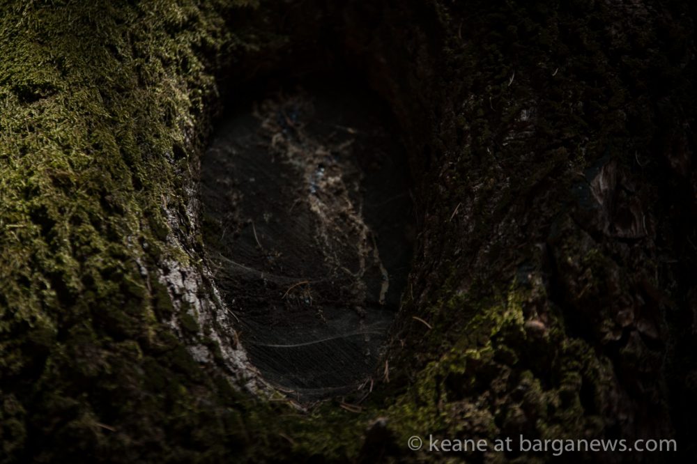 images from barga (LU) Italy