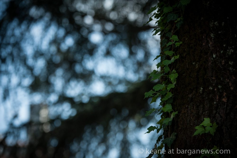 images from barga (LU) Italy