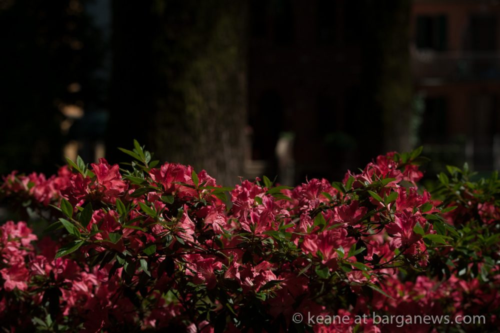 images from barga (LU) Italy