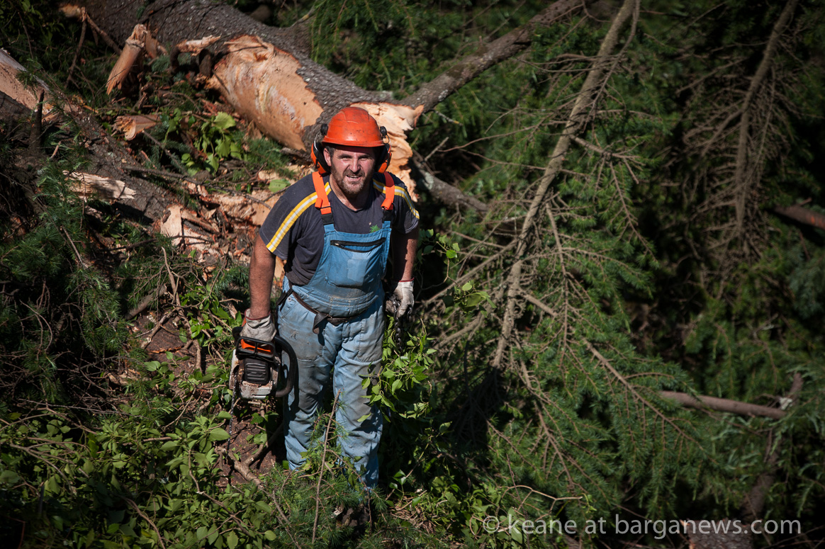Tree felling in Parco Kennedy