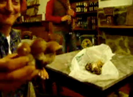 Aristodemo Casciani and the Porcini mushrooms