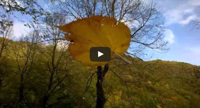 Viaggio d’autunno