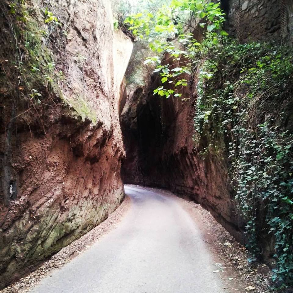 Quinta tappa Vetralla Viterbo – 29482 passi 21.5 km