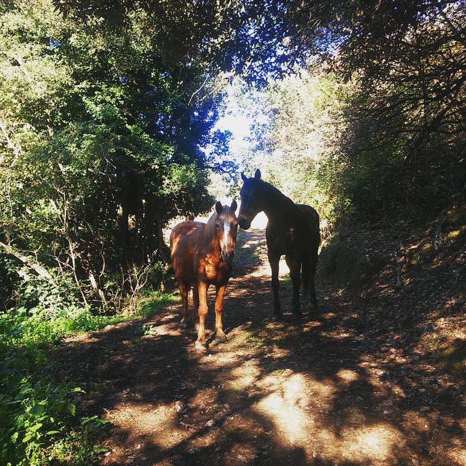 Quarta tappa 35653 passi – 26 km