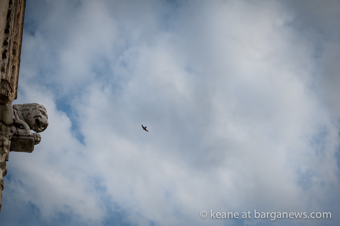 The first swallows of spring arrive in Barga