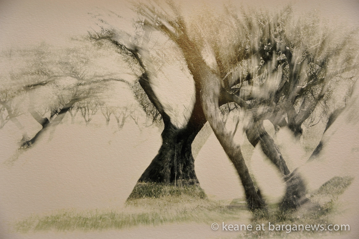 Landscapes exhibition in Barga