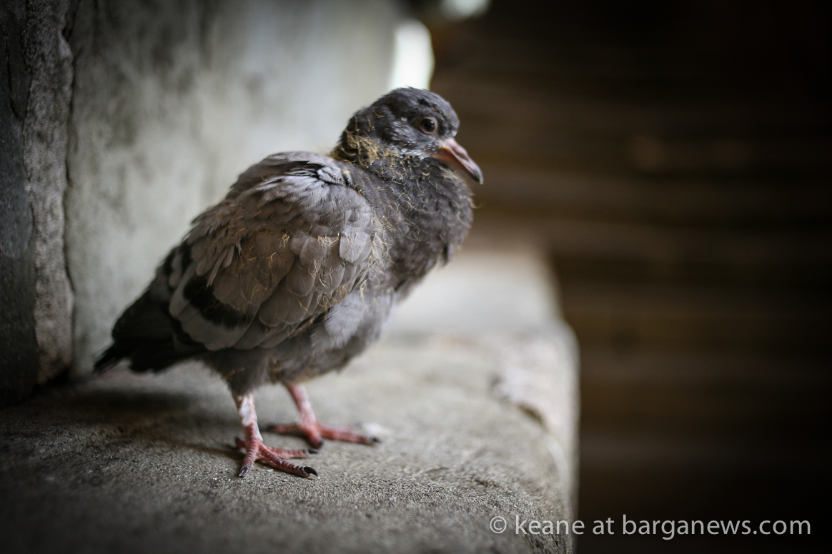 10th September 2016