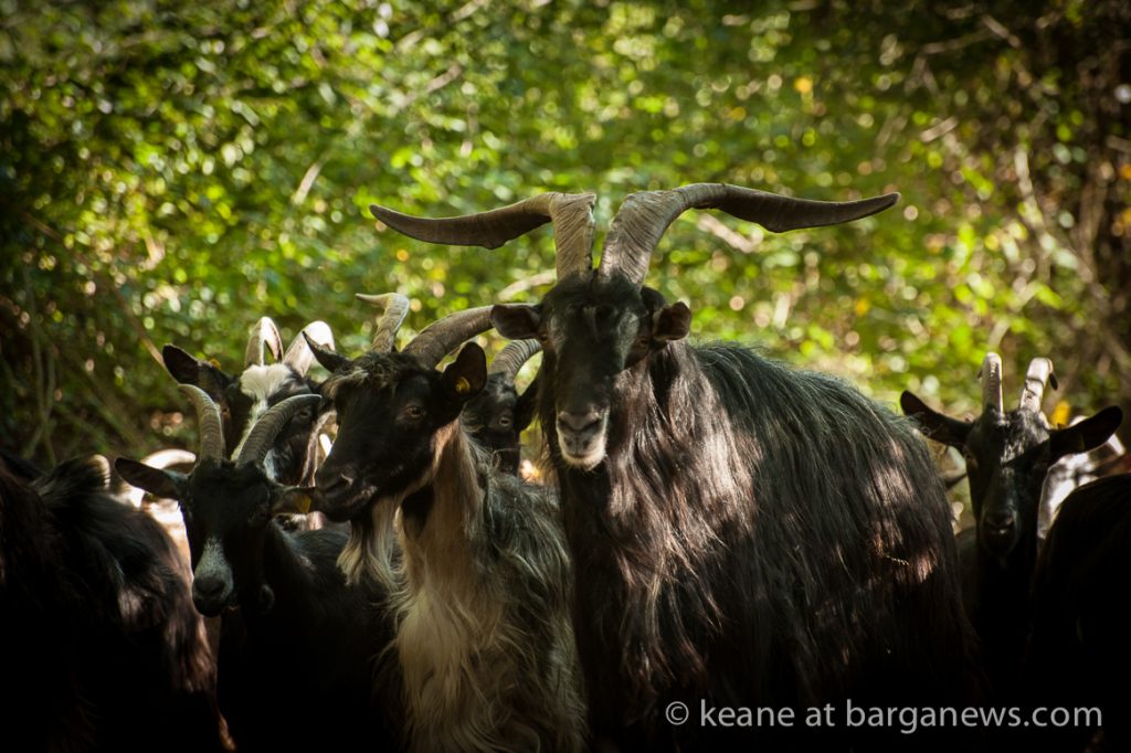 Chance meeting down by the river