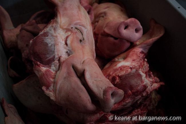 images from barga (LU) Italy