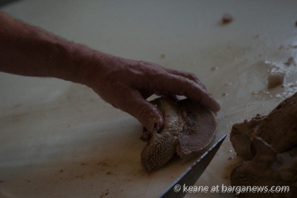 images from barga (LU) Italy