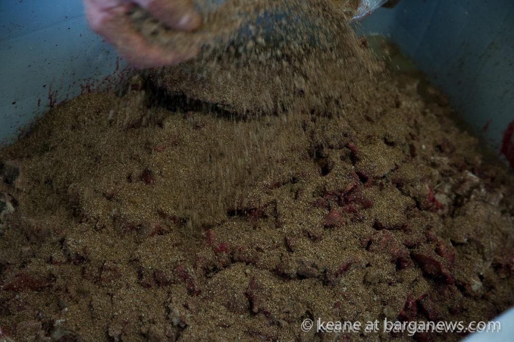 images from barga (LU) Italy