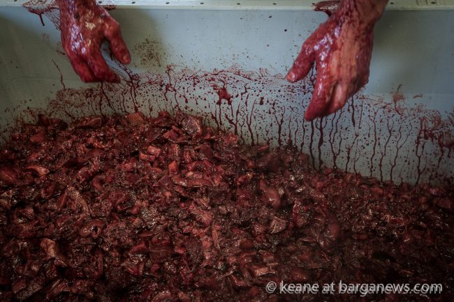 images from barga (LU) Italy