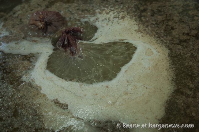 images from barga (LU) Italy