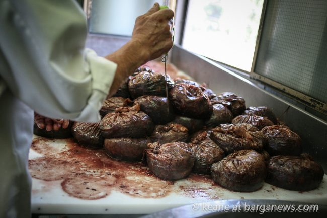 images from barga (LU) Italy