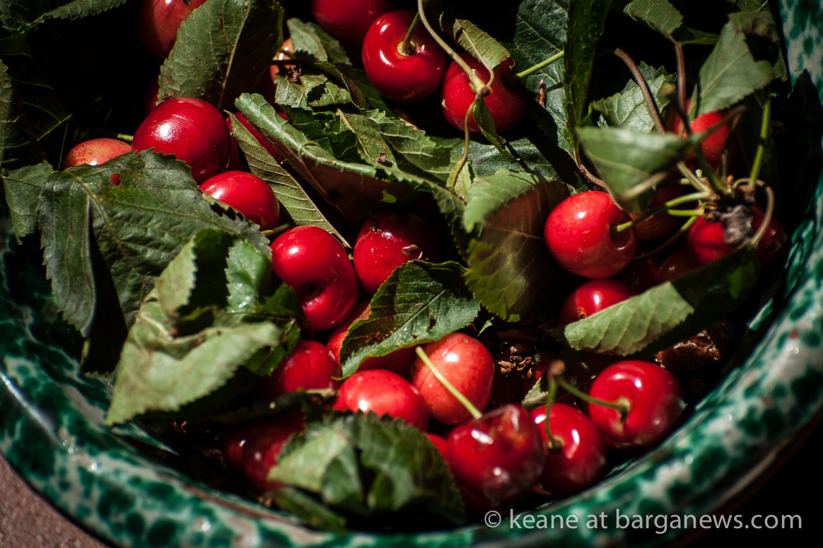 Daily Image – 11th June 2017