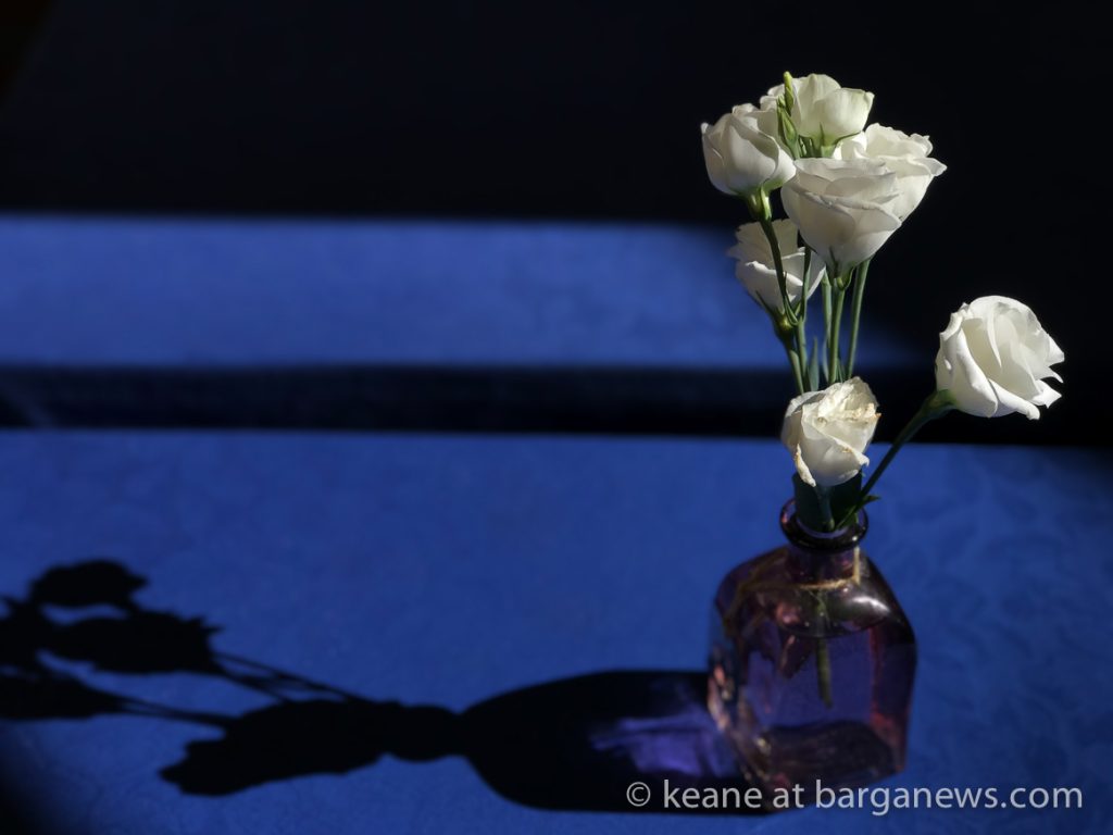 Daily Image – 1st July 2017