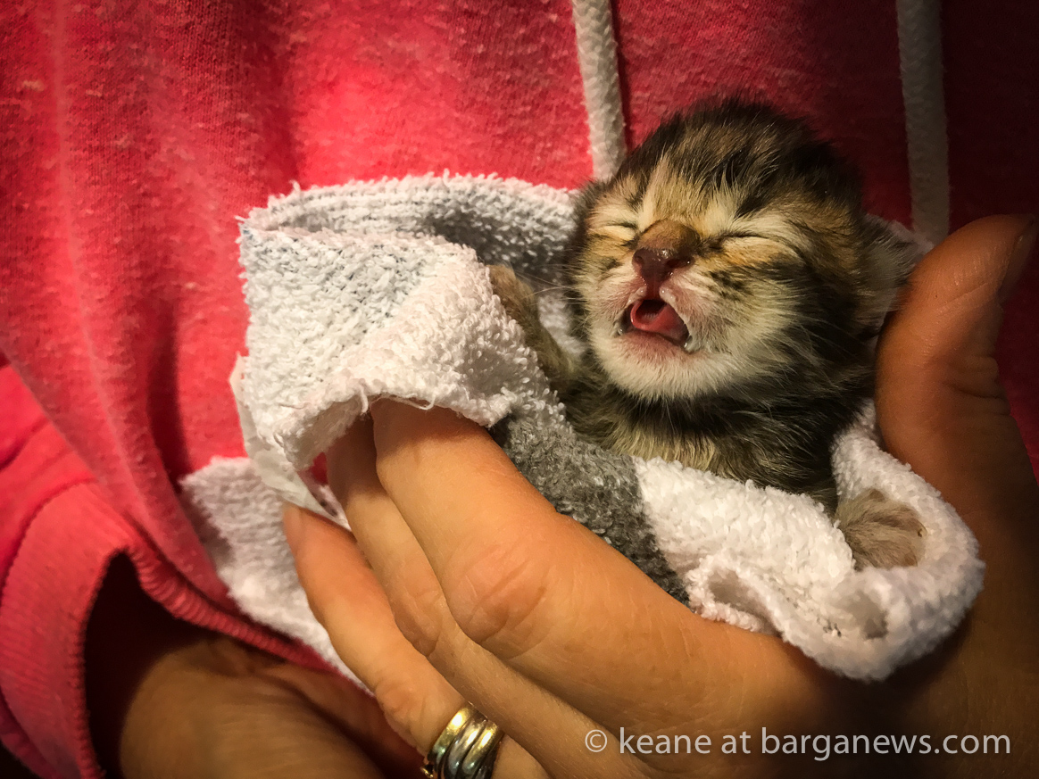 Daily Image – 19th September 2017