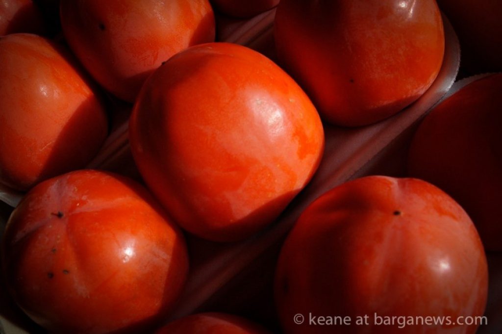 The Autumn is here and the Cachi are ripe