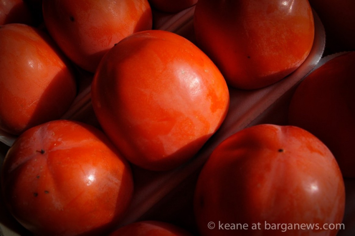 The Autumn is here and the Cachi are ripe