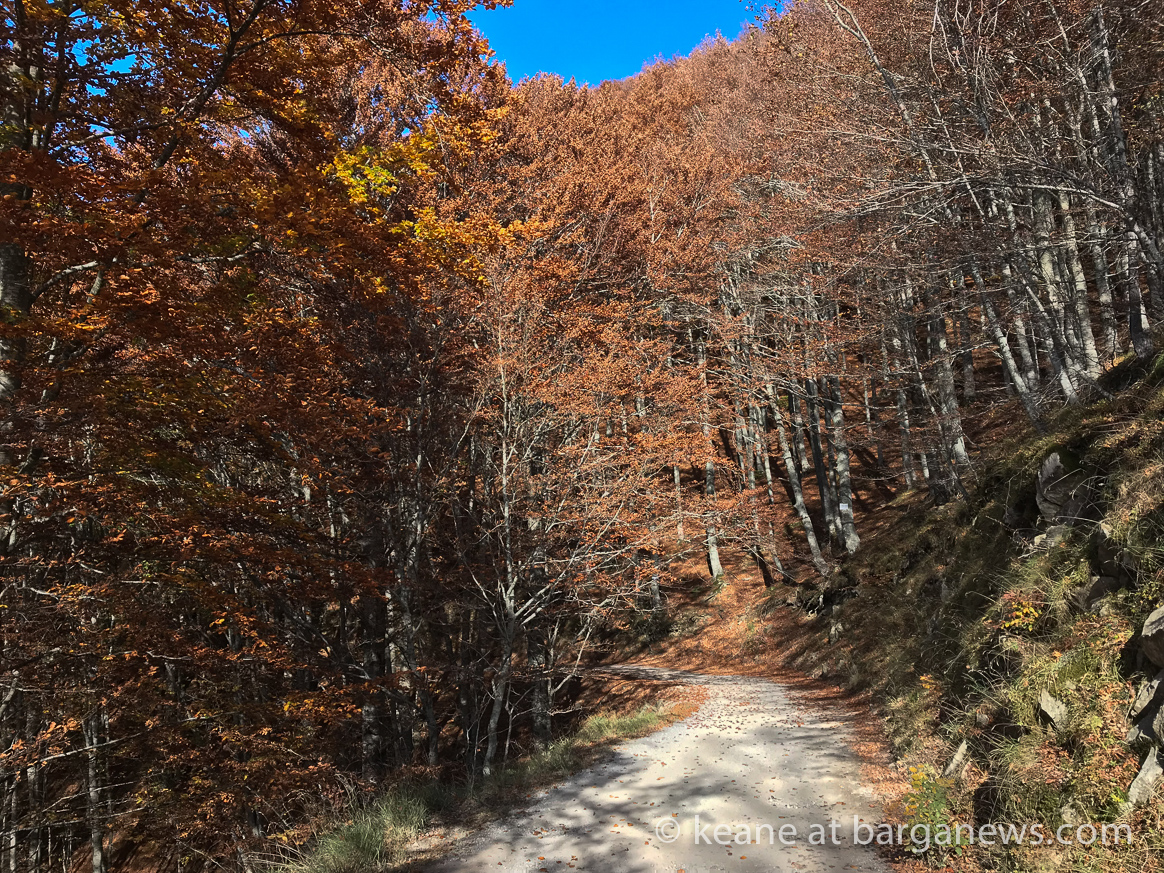 Daily Image – 19th October 2017